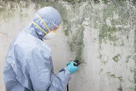 Reliable Dearborn Heights, MI Mold Inspection Solutions